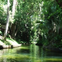 peace-of-mind-kayak-tours-venetian-canal