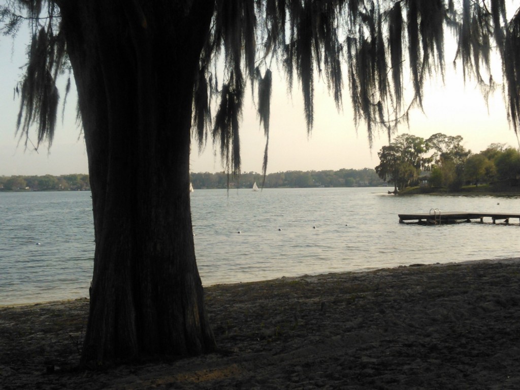 View of lake at Dinky Dock Park in Winter Park, FL