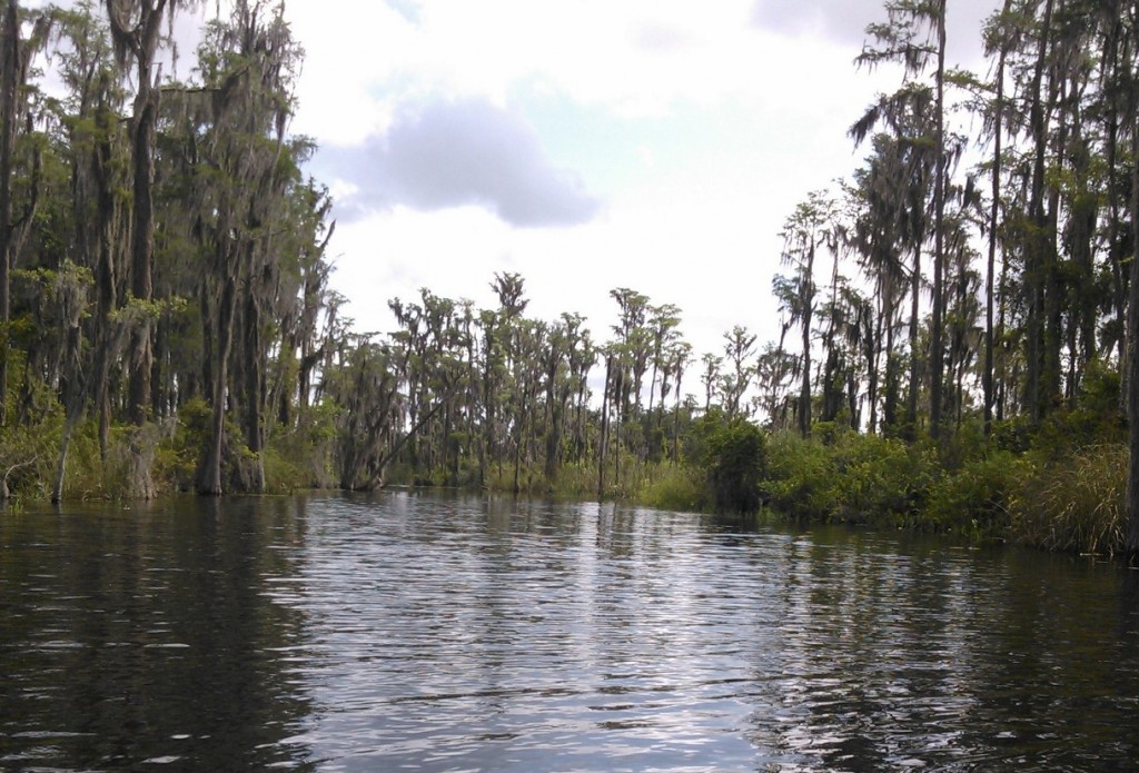Little Econ River in Oviedo Florida
