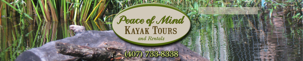 PEACE OF MIND KAYAK TOURS