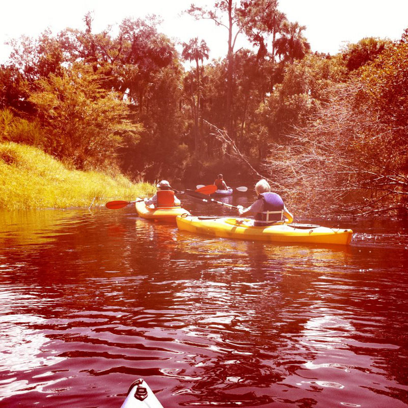 Kayaking Little Econ River in natural Florida