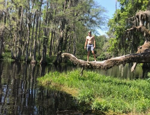 Crooked River Preserve- Clermont, FL