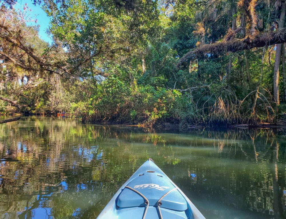 Mt. Dora Canal at Summerall Park- Tavares, FL - PEACE OF MIND KAYAK TOURS