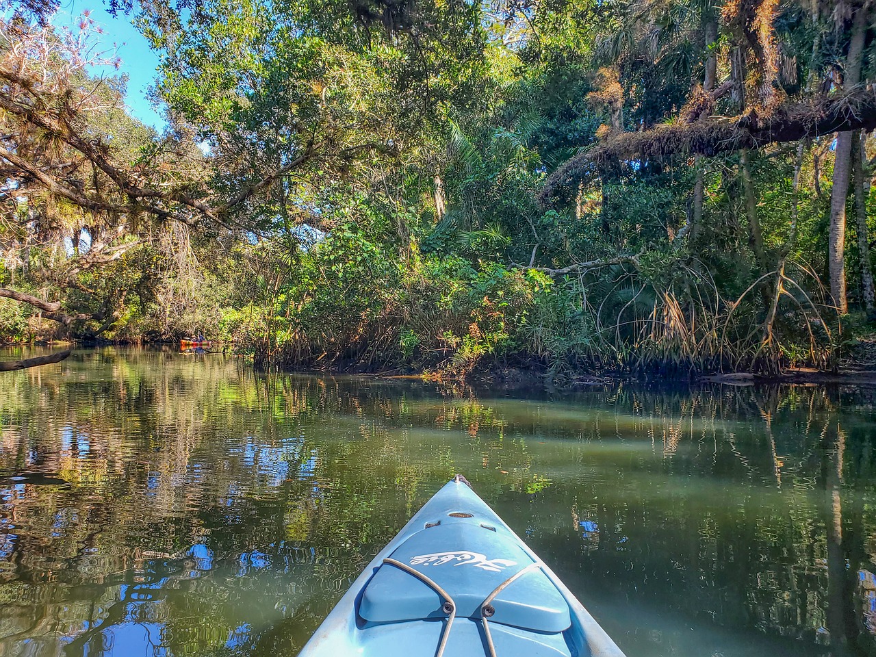 Kayak River. Черно белое фото байдарки на речке в лесу. Фруктовая река